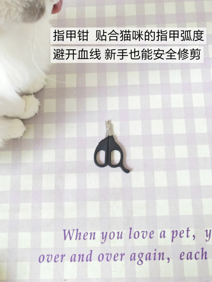 福丸猫砂