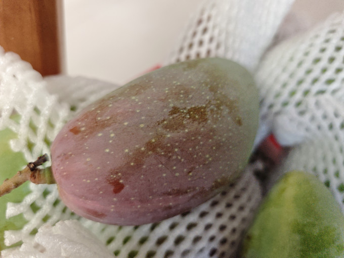 京鲜生芒果