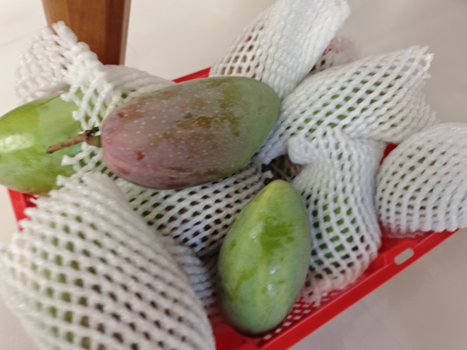 京鲜生芒果