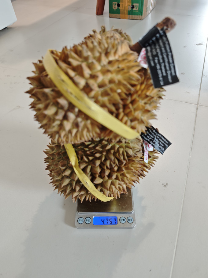 榴莲