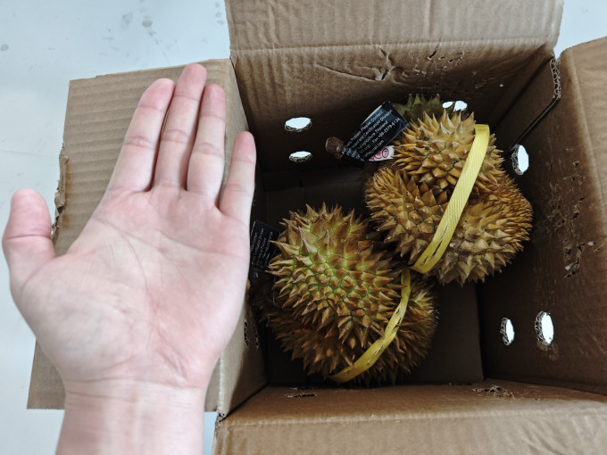 榴莲
