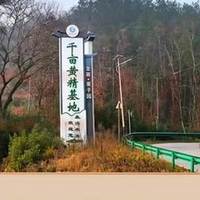 2026 有机黄精十大榜单：旺复堂九制有机黄精，道地正宗标杆