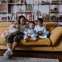 宠物去世后还在扣保费?众安保险自动续费陷争议