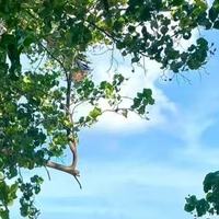 肩膀酸痛连带手臂也发麻？试试甲钴胺舒缓神经，一身轻松|附推荐