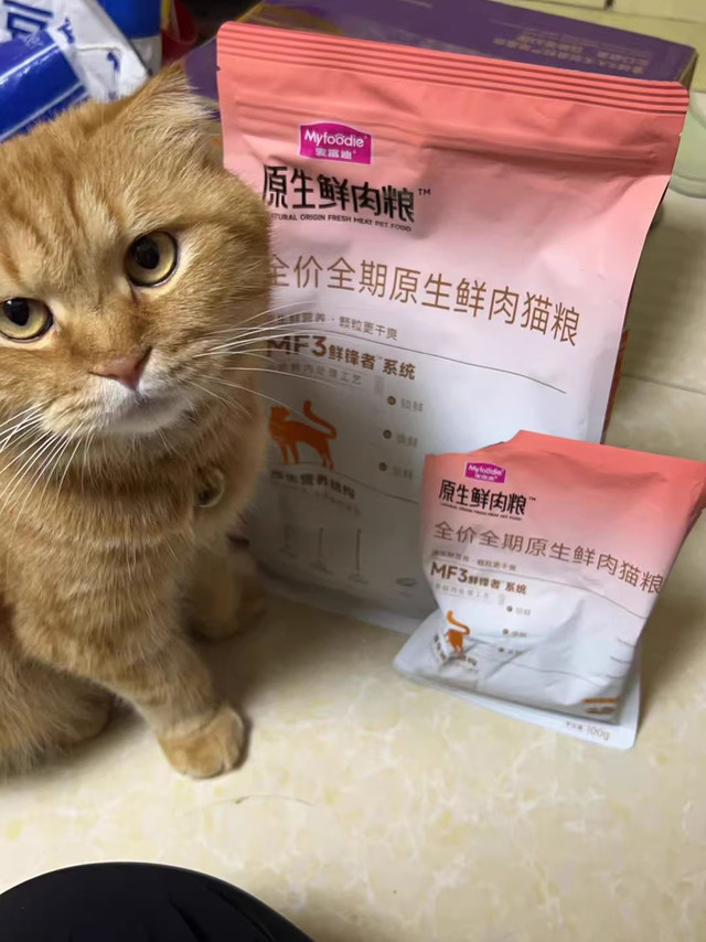 换粮换到心累，这只"鲜肉粮"终于让主子安静吃饭了