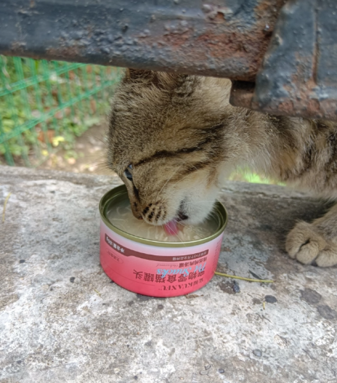 宽福猫咪零食罐/妙鲜包
