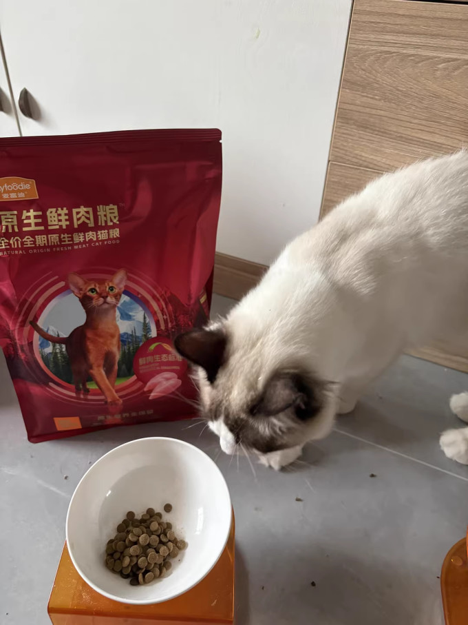 麦富迪猫粮