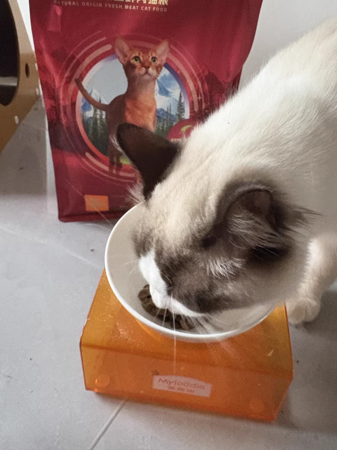 麦富迪猫粮