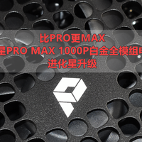 沈老师的电脑折腾之路 篇零：比PRO更MAX 微星PRO MAX 1000P白金全模组电源  进化星升级