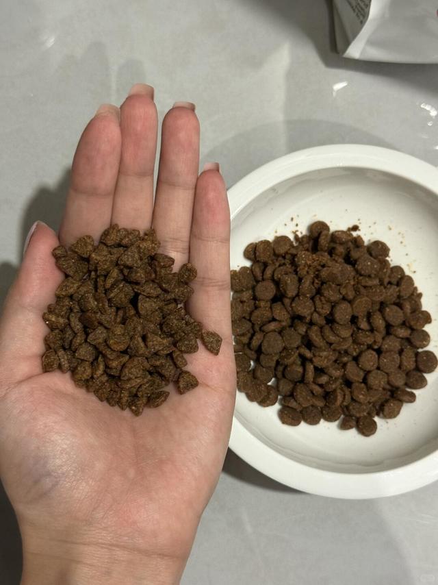 记录📝吃了2年的百利猫粮换光环