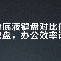 办公键盘怎么选？洛斐矮轴VS全尺寸，效率与舒适谁更胜一筹
