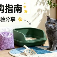 养猫新手怎么选猫砂？从种类到产品，一篇全搞定！