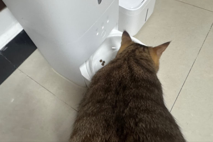 米家宠物智能喂食器