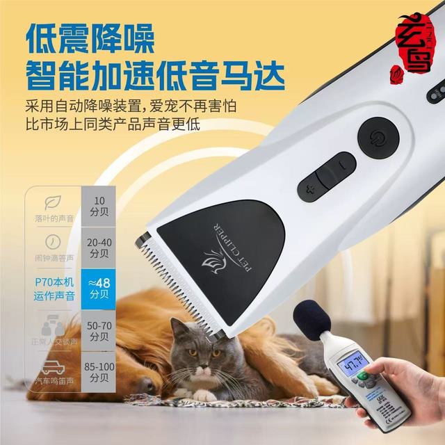 养宠家庭的“省钱神器”：在家也能轻松搞定宠物美容！