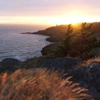 哈苏中画幅 vs OPPO Find X9：专业影像与手机摄影的真实差距