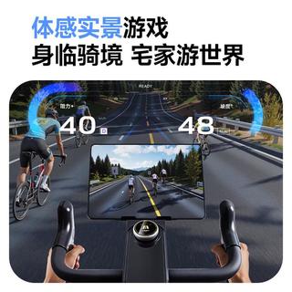 飞轮10kg还是12kg？磁控+软件生态谁更胜一筹？