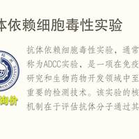 650W电源怎么选？白金能效VS铜牌稳定，三款实测对比告诉你真相