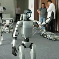 三款AI陪伴机器人大比拼：拟真、养成还是开源？