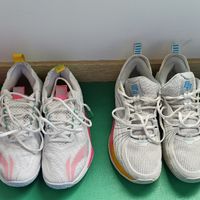 差生文具多之——五双羽毛球鞋