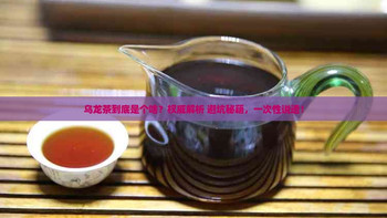 无糖乌龙茶四强对决：谁真能打过三得利？