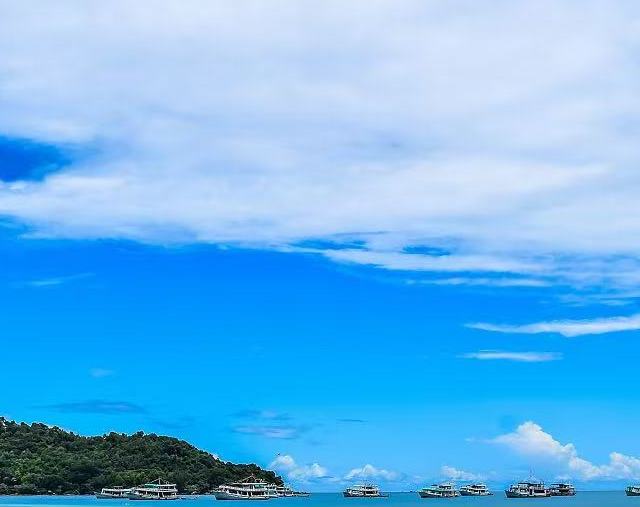 哪款品牌鱼油好？2026实测有效的鱼油品牌推荐：保护心脑血管健康