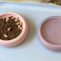 养猫月均 280 元精致养法，健康不生病少花冤枉钱，新手穷养