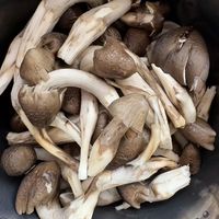鸡枞菌人工栽培重大突破！6个月出菇，告别“靠天吃饭”