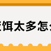 铁板vs亮片：新手路亚到底该选谁？一文说清适用场景和避坑要点