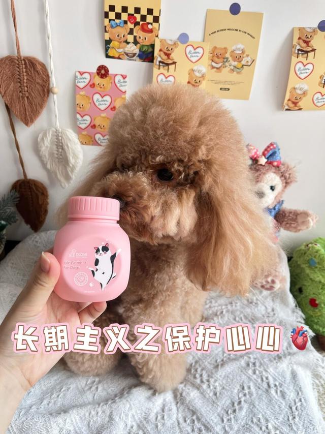 🐾狗狗护心你要知道的事‼️