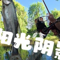 桥洞作钓黄金组合与精准标点全解析