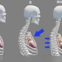 腰带不是护腰神器，用对了才真稳！新手必看正确使用时机