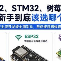 嵌入式新手避坑｜STM32/ESP32/树莓派Pico选型指南