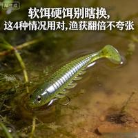 慢钓轻诱：黑坑偷驴高效获鱼的核心逻辑