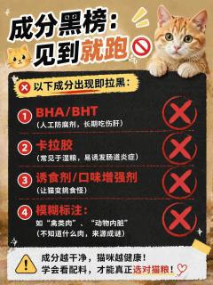 别再交智商税了！看完这篇，教你像专家一样挑猫粮