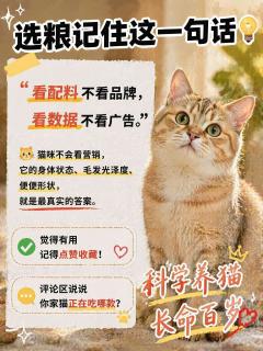 别再交智商税了！看完这篇，教你像专家一样挑猫粮