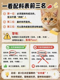 别再交智商税了！看完这篇，教你像专家一样挑猫粮
