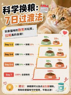别再交智商税了！看完这篇，教你像专家一样挑猫粮