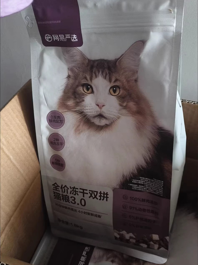 这只挑剔橘猫终于不翻碗了，网易严选冻干双拼是真救了我