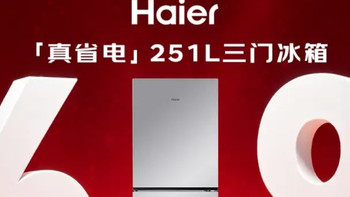 出租屋迷你厨房闭眼入海尔251L星辉银三门一级变频一天不到0.6度