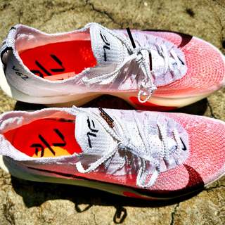 Alphafly 3和Vaporfly 4怎么选？顶级竞速vs入门碳板，实测差距在这
