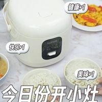 迷你电饭煲怎么选？三巨头内胆技术大拆解，1-3人吃饭真相在这