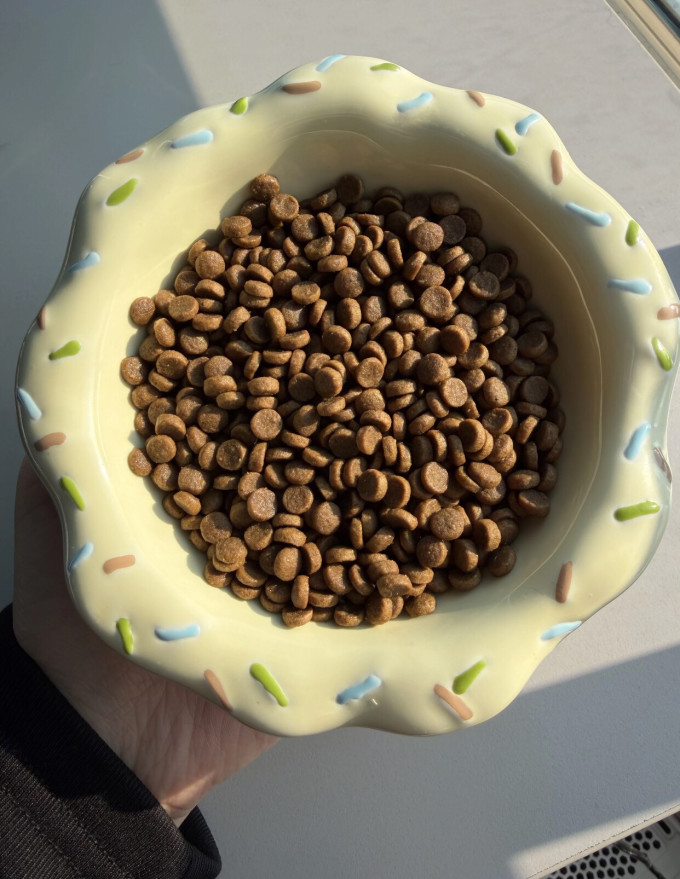 猫粮