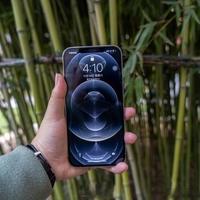 iPhone 12还能再战两年吗？2026实测告诉你值不值得留