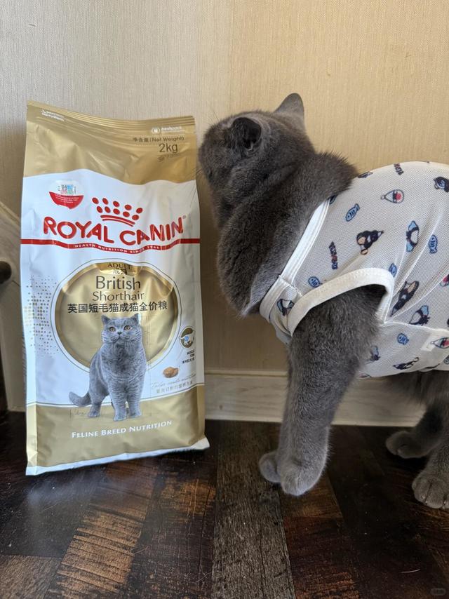 家有蓝猫的 真心安利皇家