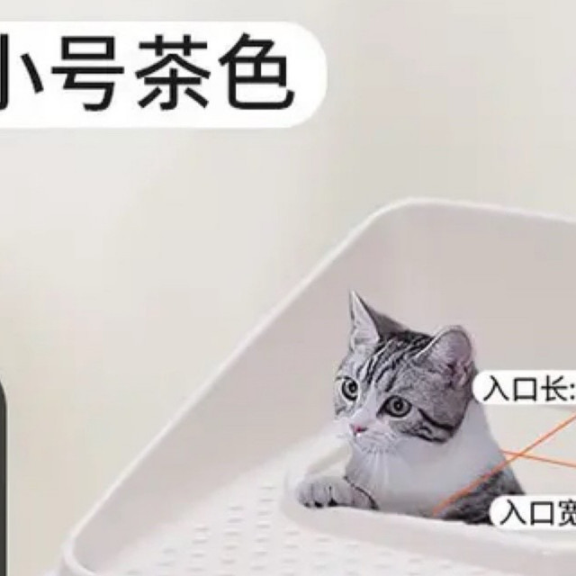 猫砂盆和猫抓板选对了日子才舒坦