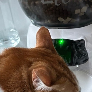SMARTTAIL智能喂食器，铲屎官省心饲养好物