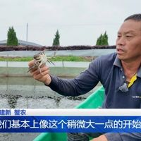 月薪3千到3万，我靠这5个副业思维逆袭了