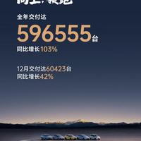 国内销量暴跌出口狂飙，新能源车市冰火两重天