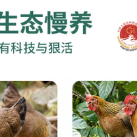 活动价130+到手!值不值?聊聊这只清水煮都香的清远鸡