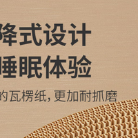 松弛度日从不焦虑，我家猫的生活状态太让人羡慕